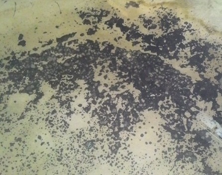 hóa chất đánh bóng sàn